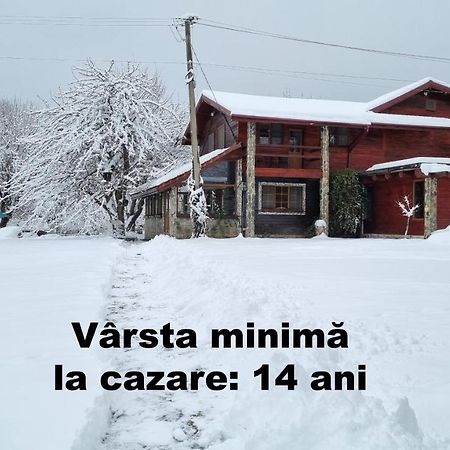 Casa Bunicului Villa Vistisoara Buitenkant foto