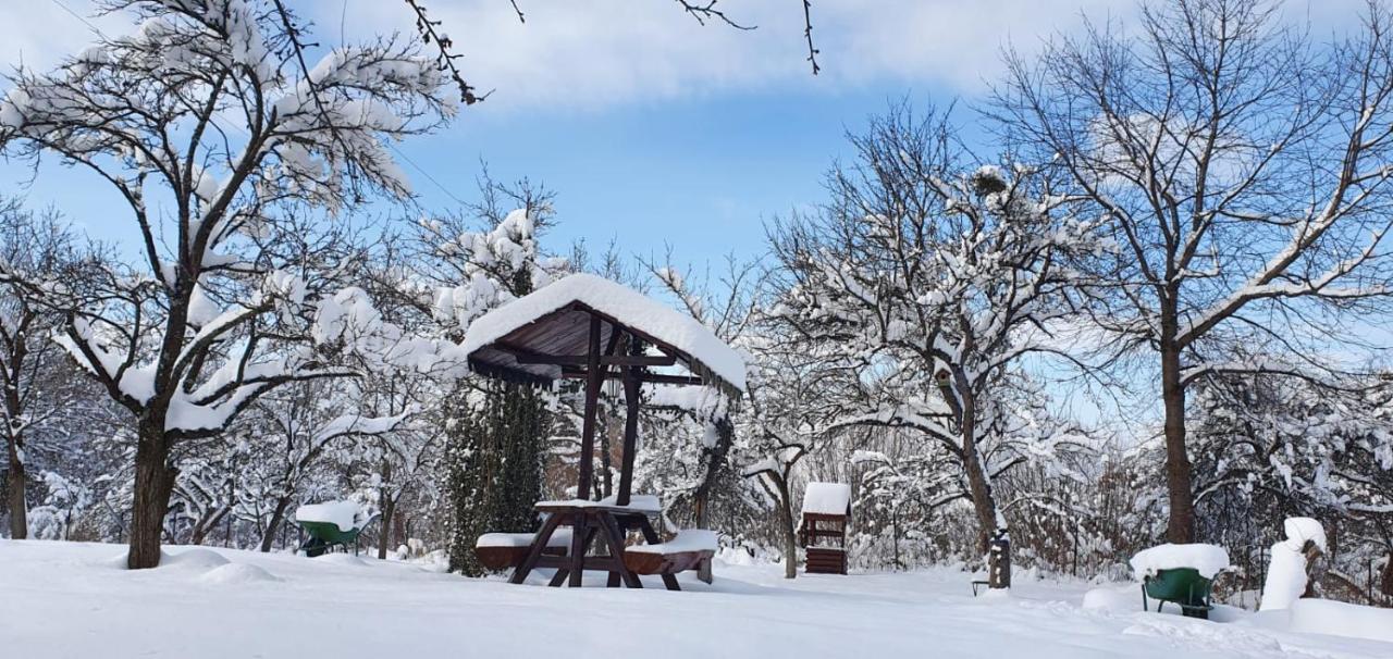 Casa Bunicului Villa Vistisoara Buitenkant foto