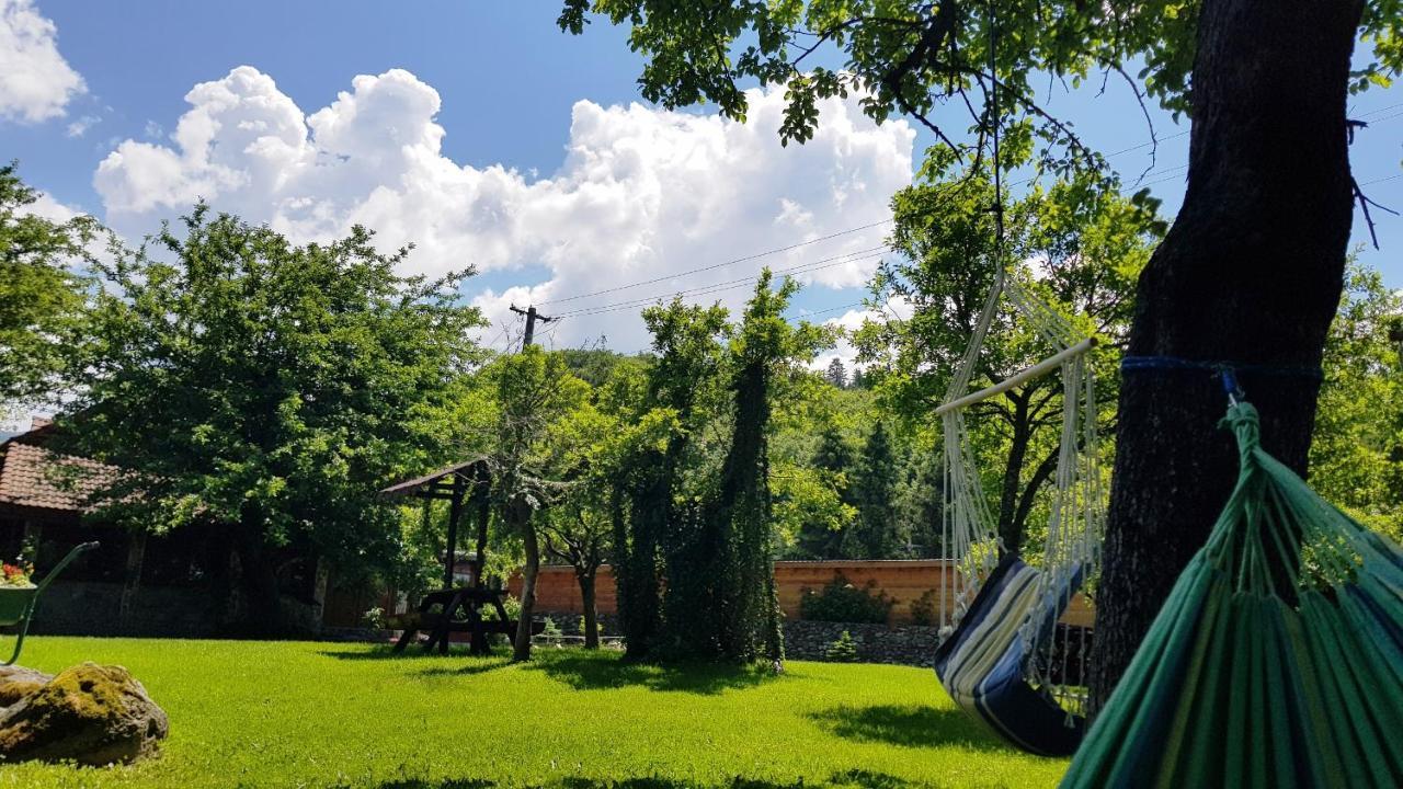 Casa Bunicului Villa Vistisoara Buitenkant foto