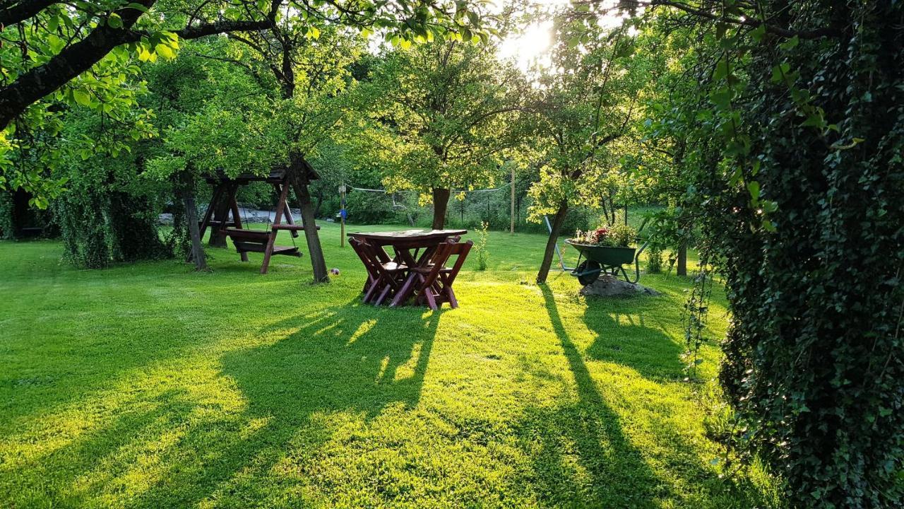 Casa Bunicului Villa Vistisoara Buitenkant foto