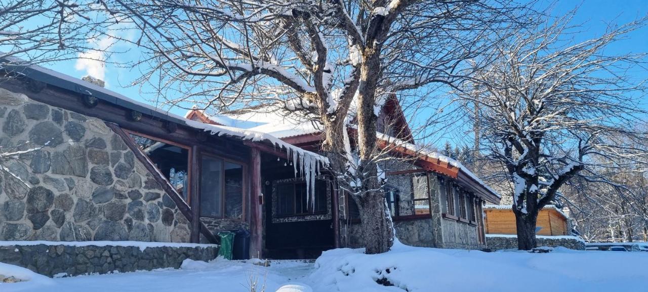 Casa Bunicului Villa Vistisoara Buitenkant foto