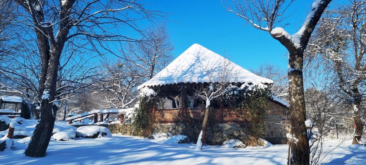 Casa Bunicului Villa Vistisoara Buitenkant foto