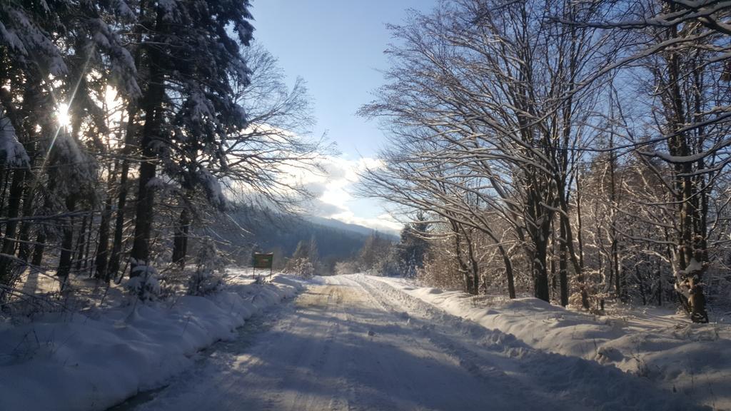 Casa Bunicului Villa Vistisoara Buitenkant foto