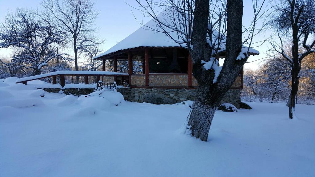 Casa Bunicului Villa Vistisoara Buitenkant foto