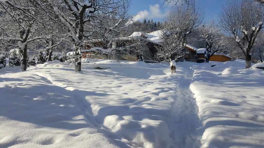 Casa Bunicului Villa Vistisoara Buitenkant foto
