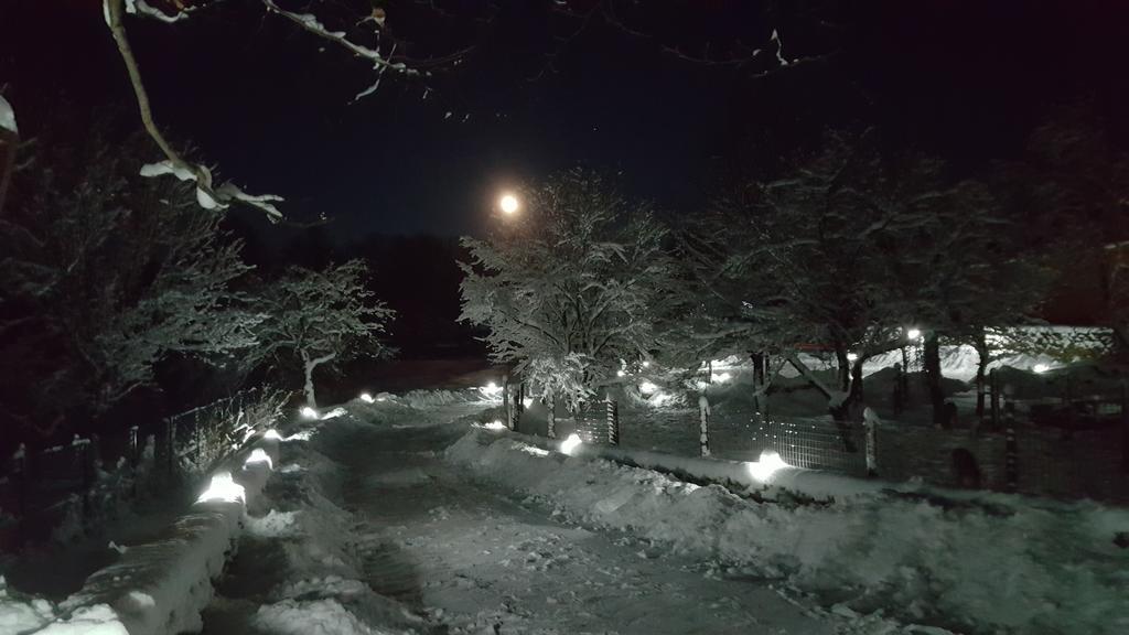 Casa Bunicului Villa Vistisoara Buitenkant foto