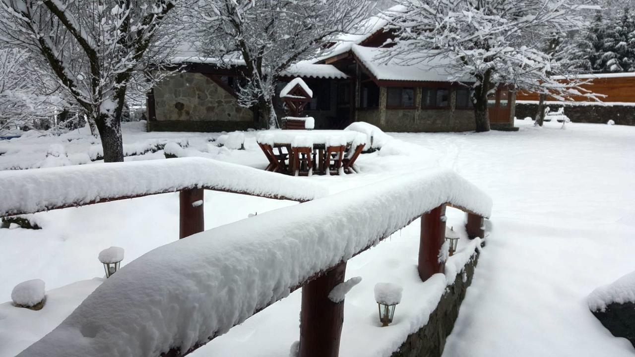 Casa Bunicului Villa Vistisoara Buitenkant foto