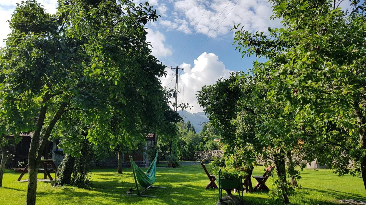 Casa Bunicului Villa Vistisoara Buitenkant foto