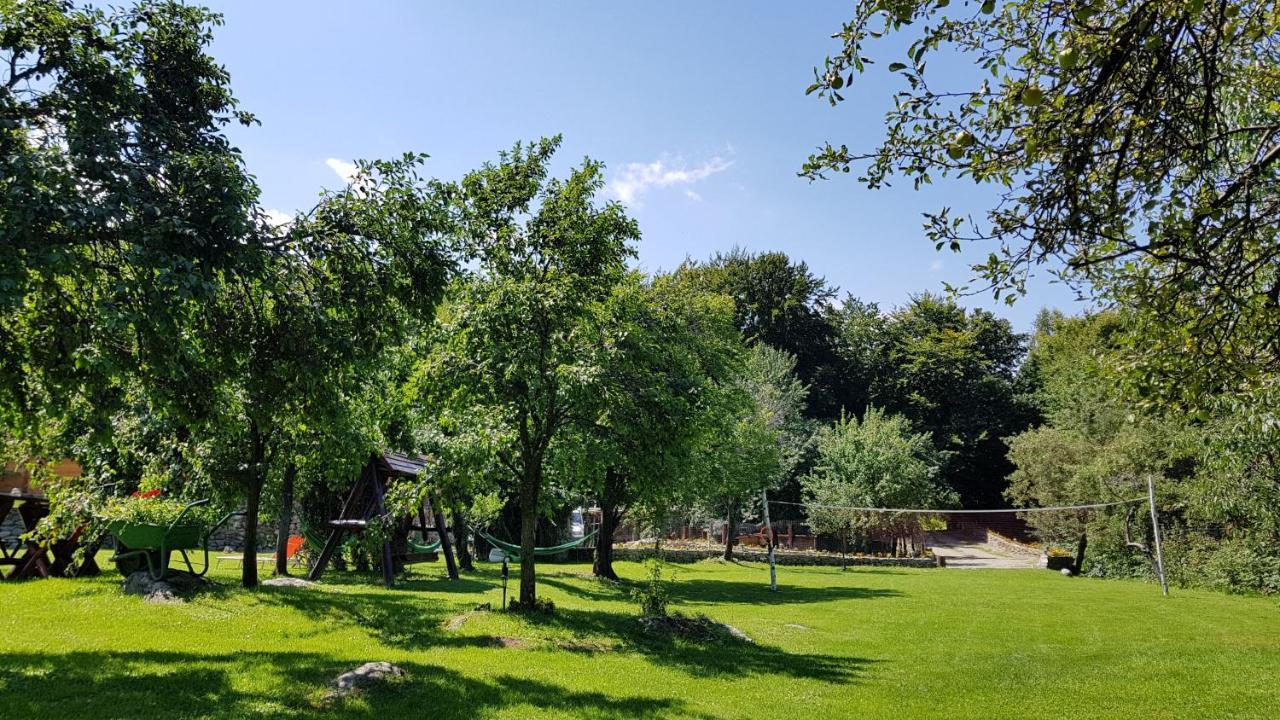 Casa Bunicului Villa Vistisoara Buitenkant foto