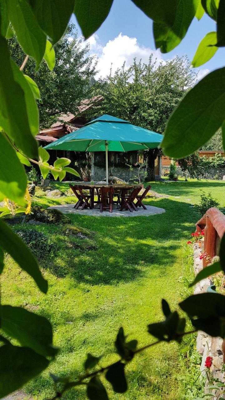 Casa Bunicului Villa Vistisoara Buitenkant foto