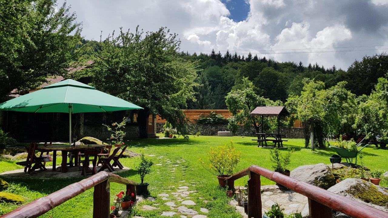 Casa Bunicului Villa Vistisoara Buitenkant foto