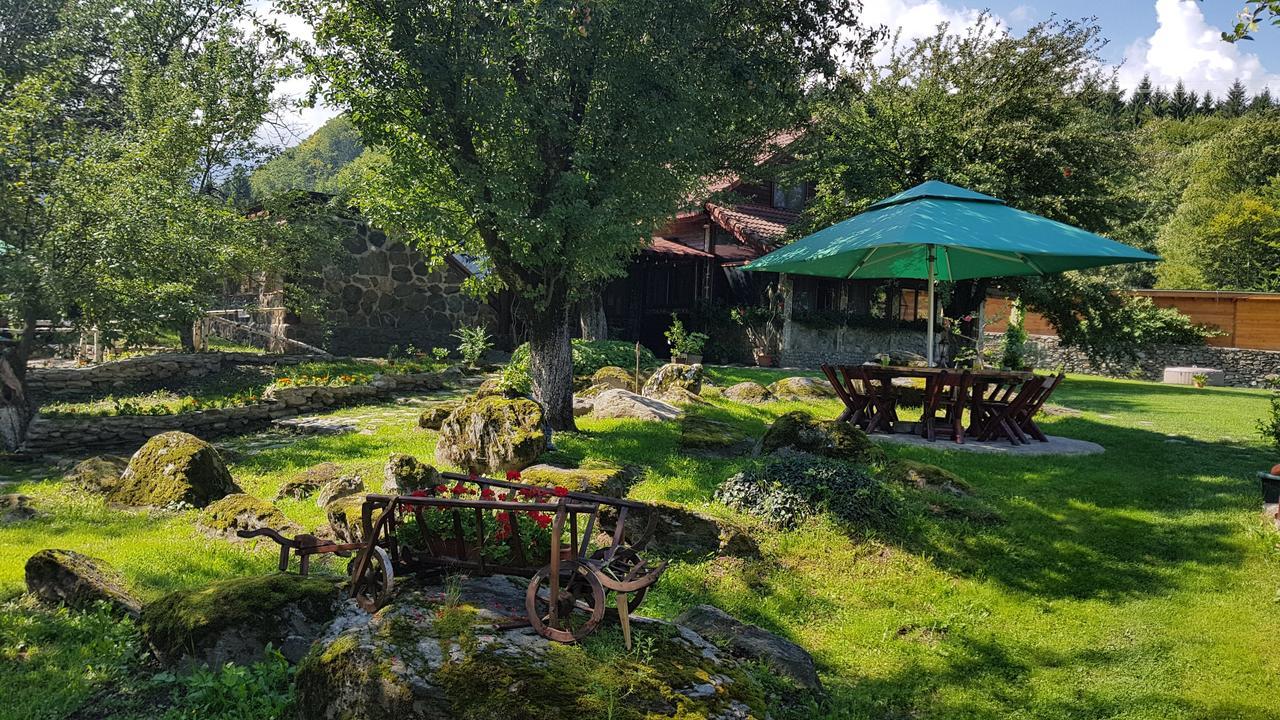 Casa Bunicului Villa Vistisoara Buitenkant foto