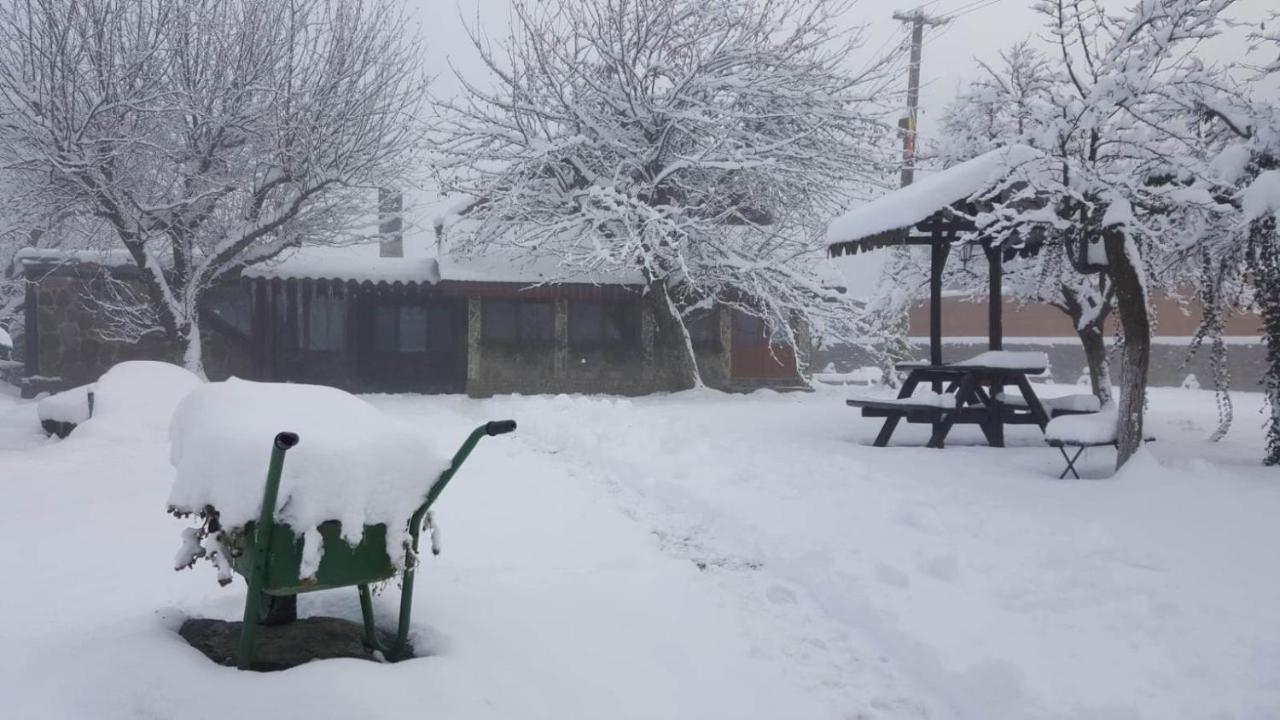 Casa Bunicului Villa Vistisoara Buitenkant foto