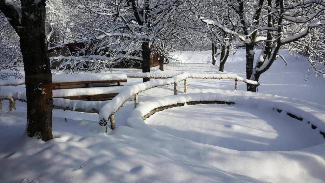 Casa Bunicului Villa Vistisoara Buitenkant foto