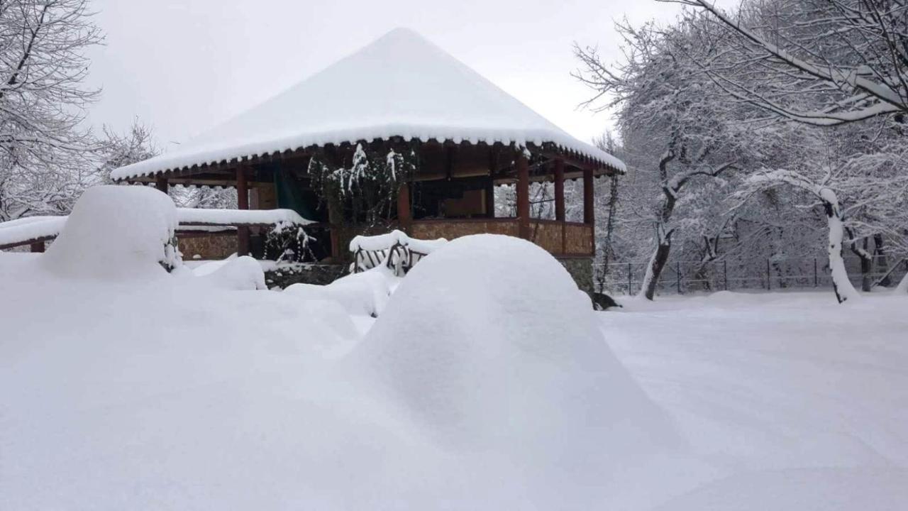 Casa Bunicului Villa Vistisoara Buitenkant foto