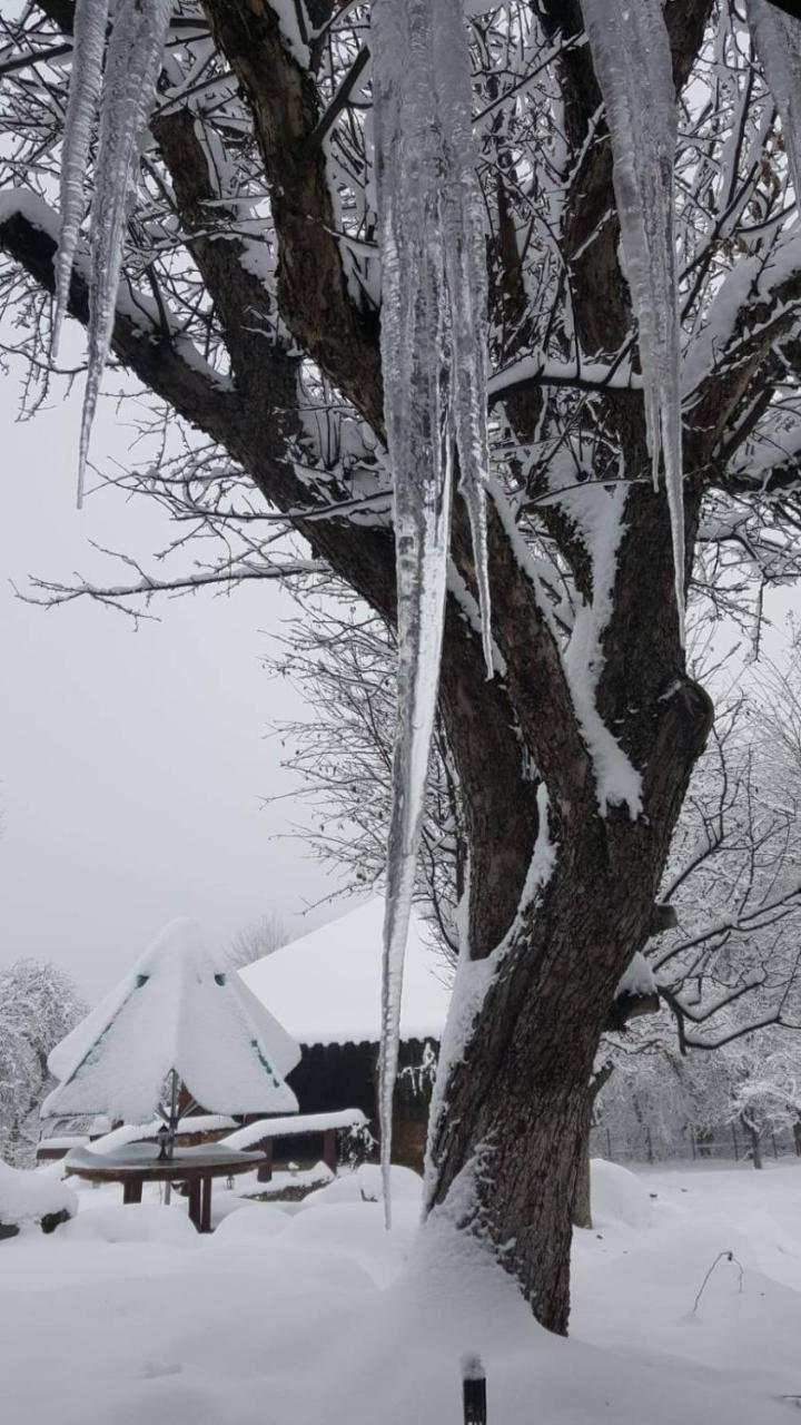 Casa Bunicului Villa Vistisoara Buitenkant foto