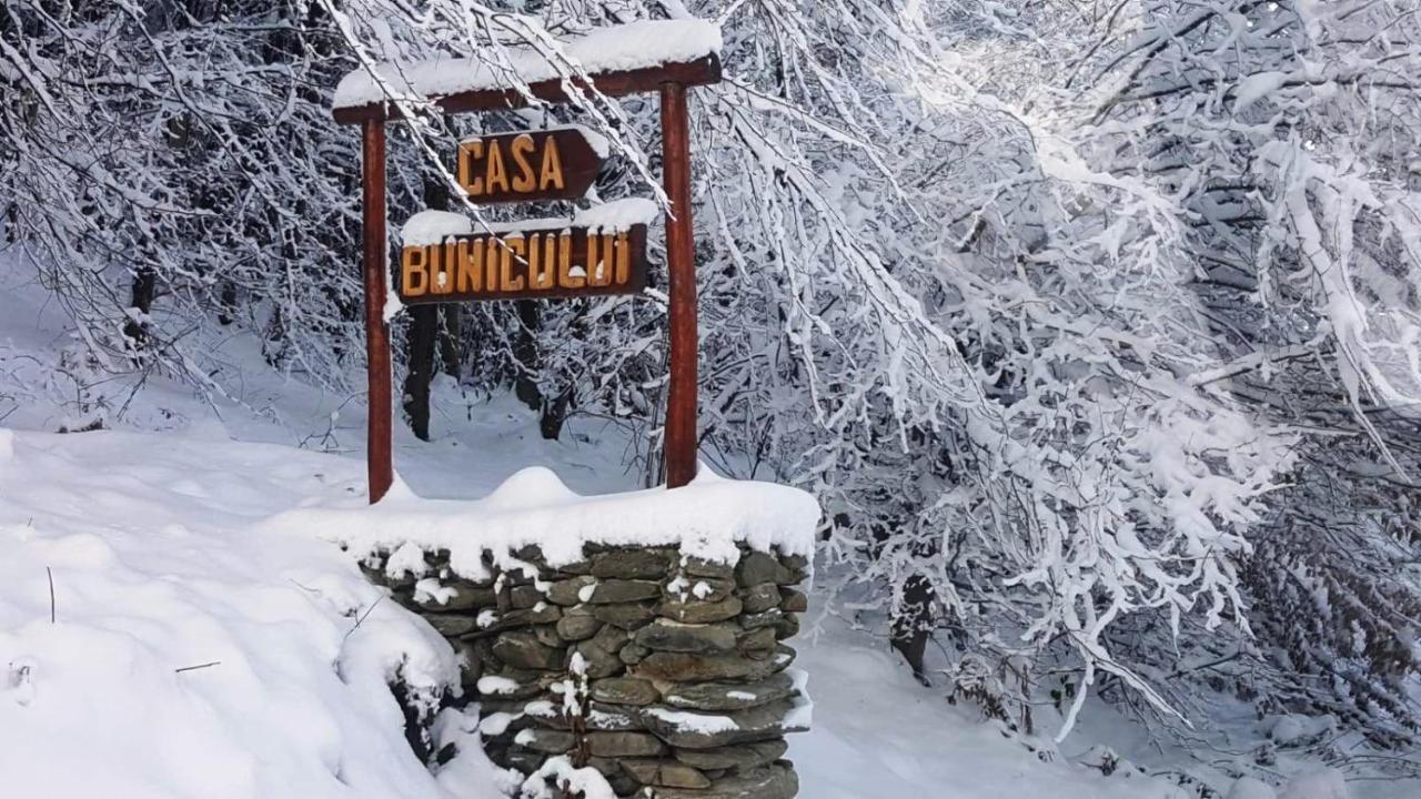 Casa Bunicului Villa Vistisoara Buitenkant foto