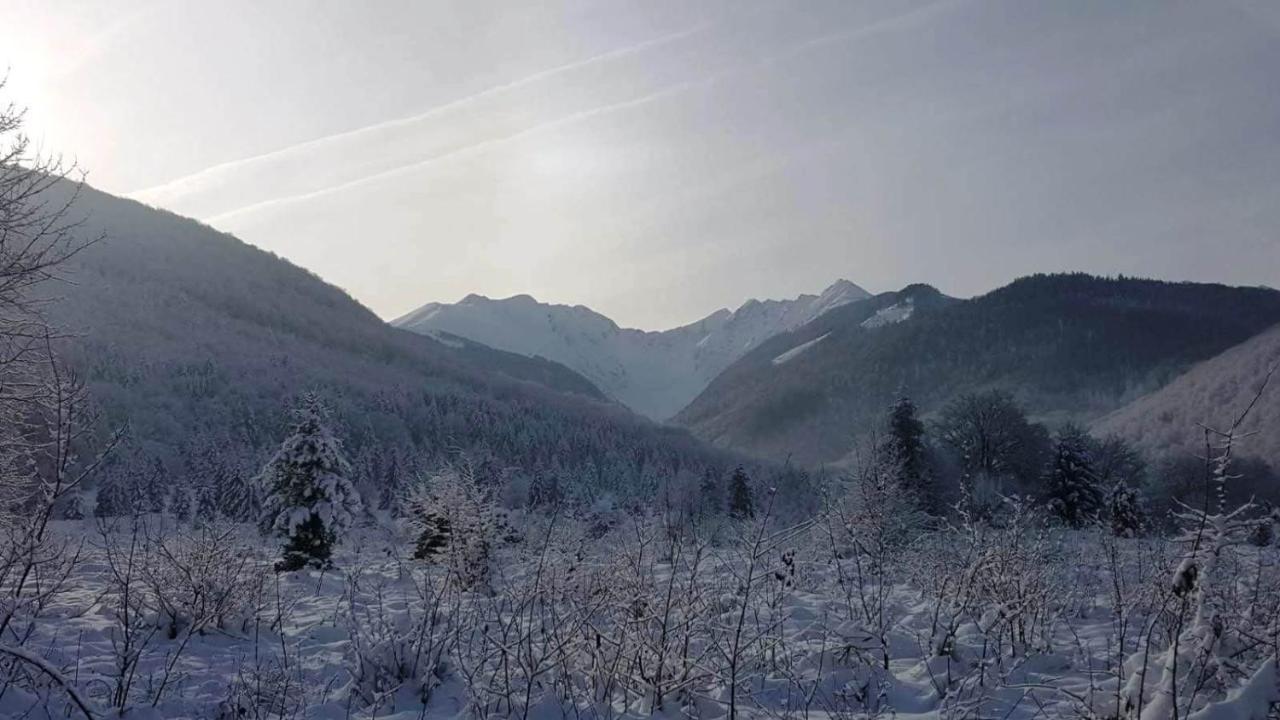 Casa Bunicului Villa Vistisoara Buitenkant foto