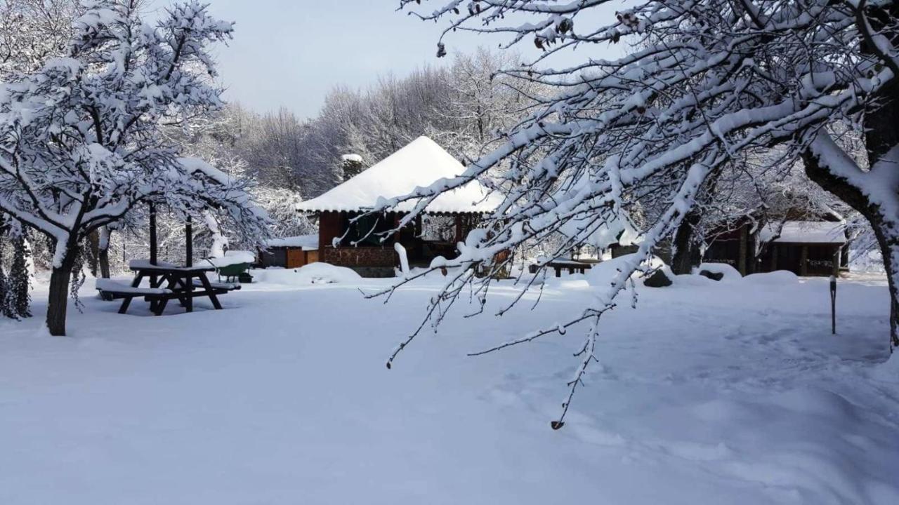 Casa Bunicului Villa Vistisoara Buitenkant foto
